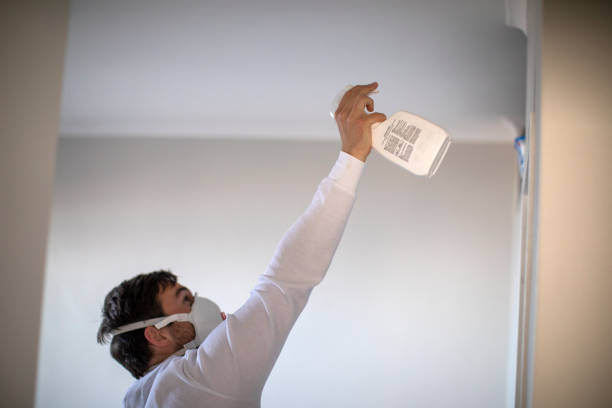 Best Health and Safety Mold Remediation in Forreston, IL